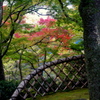 薫りはじめ