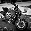 Ducati - Diavel AMG