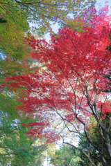 energy flow_4