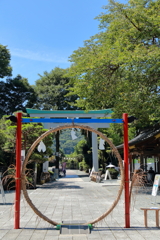 出雲大社相模分祠2025_4
