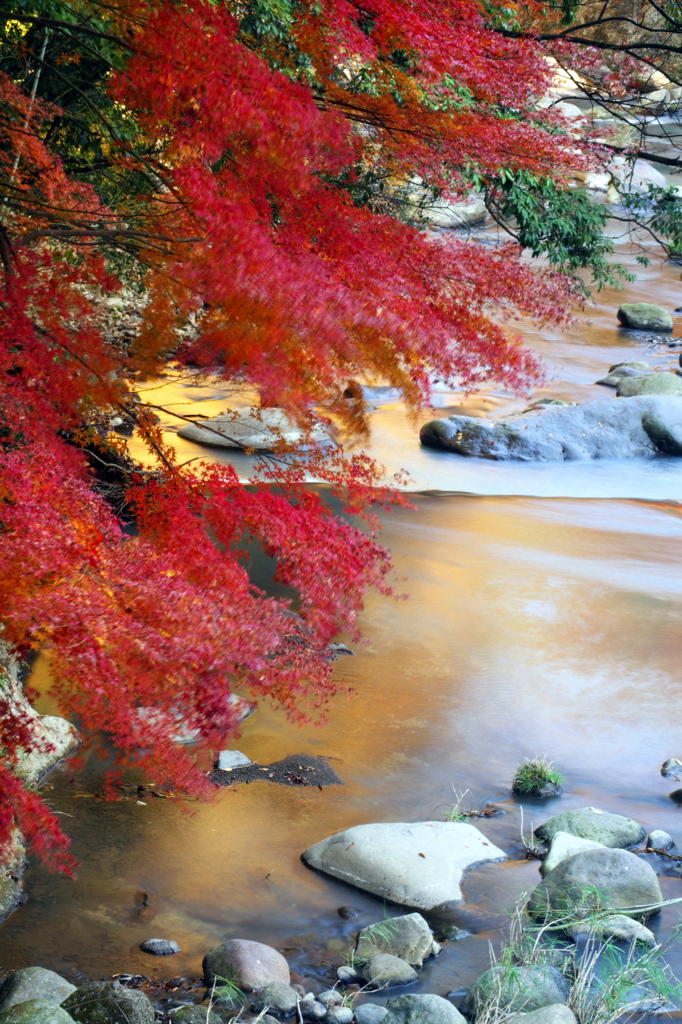 箱根_早川