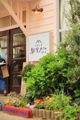 街角スナップ練習中_9