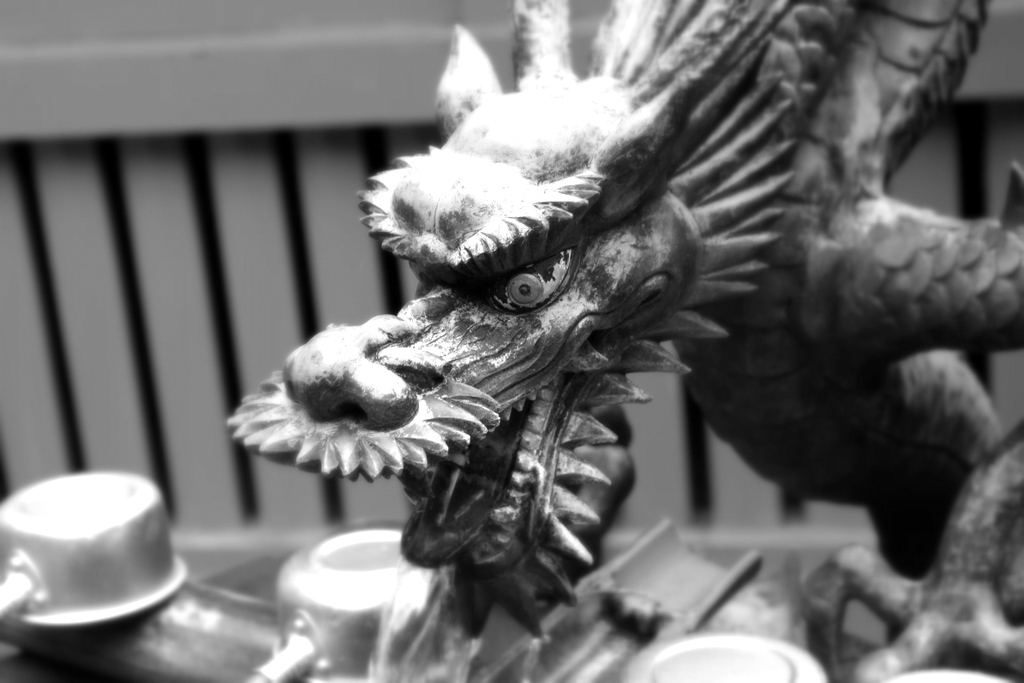 龍（Water Dragon ）