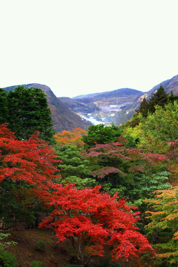 箱根強羅美術館20111109_8