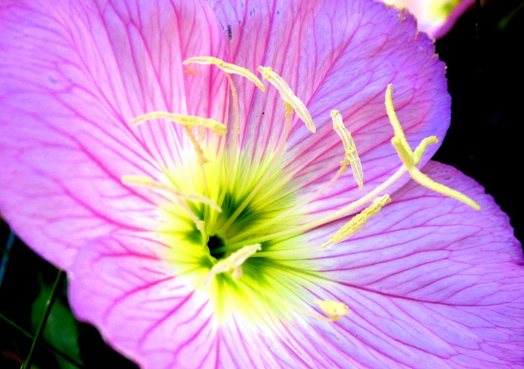 IXY200F_TEST