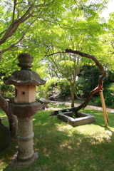 旧松本剛吉別邸_6