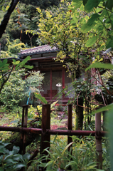 箱根湯本徘徊_平賀啓美術館