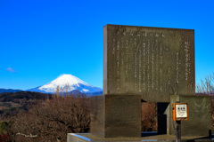 20250103初詣＿富士