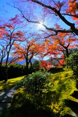 2025_箱根美術館5