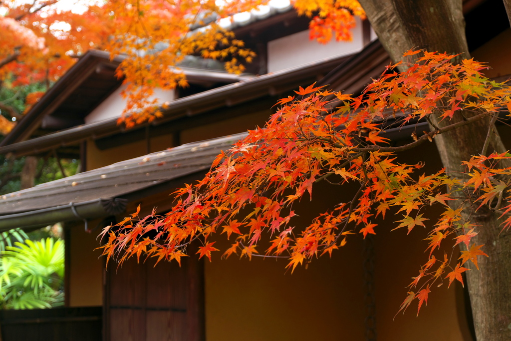 松永記念館