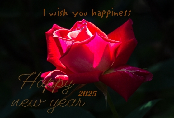 new year
