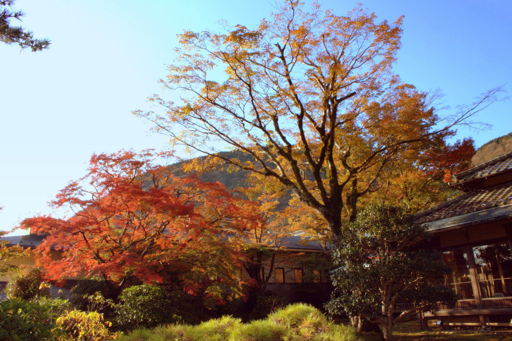 Couleurs différentes