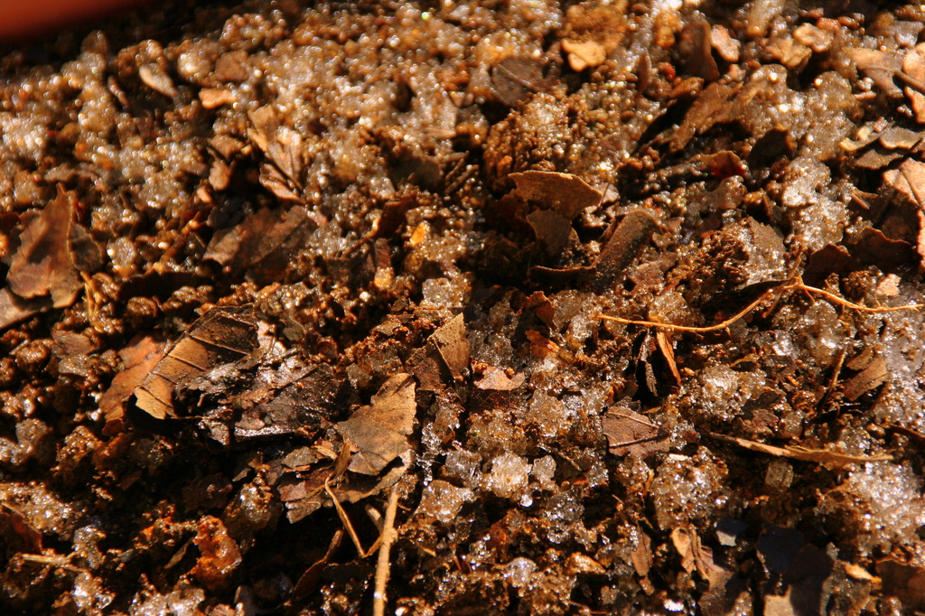 Test of new lens_take4