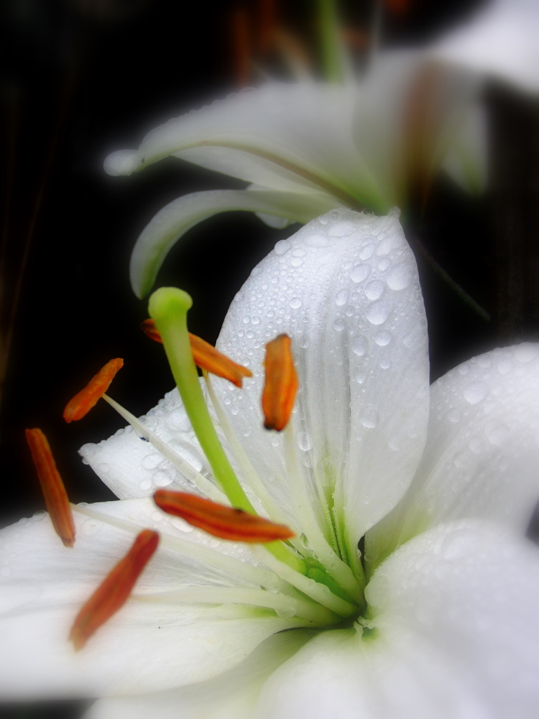test_EX-FC100_5