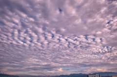 夏空