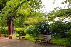 TEST_EF24mm-105  4L_7