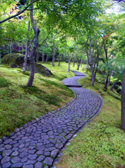 1-DSCN0977