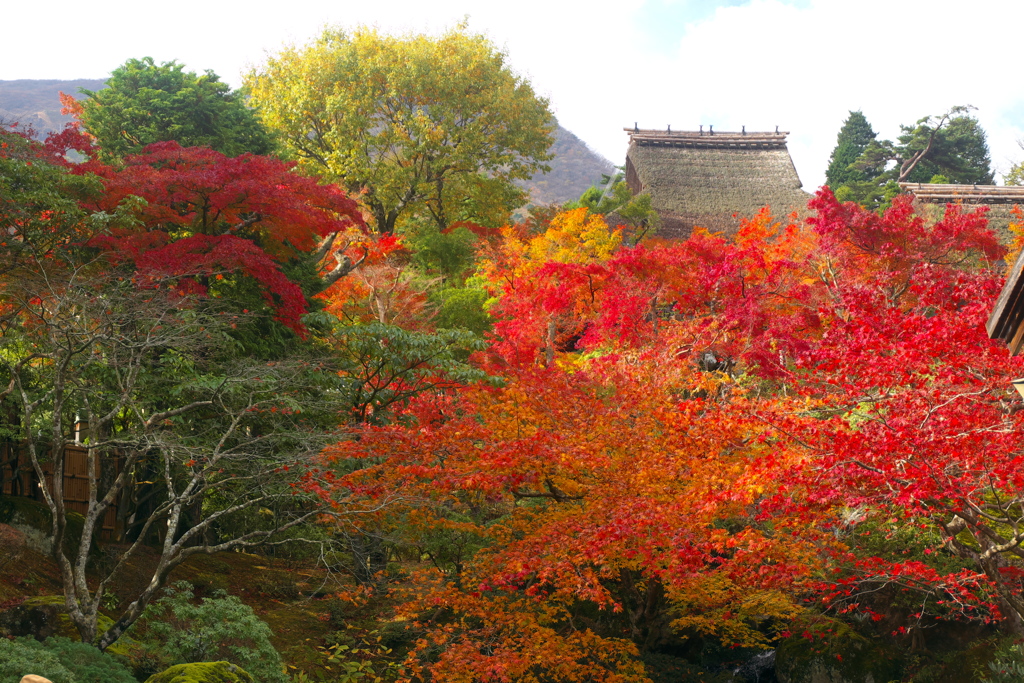 2017_箱根美術館