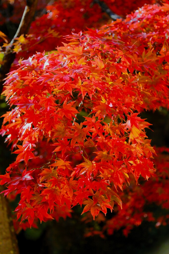 2025_箱根美術館2