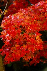 2025_箱根美術館2