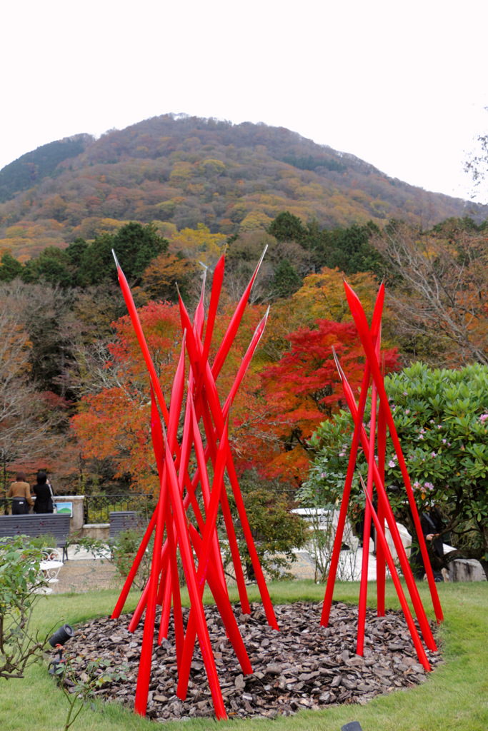 箱根ガラスの森３