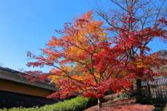 2025_強羅_箱根美術館6