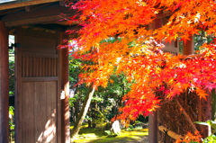 小田原_松永記念館