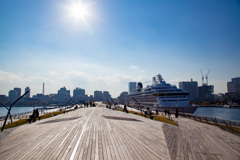 2025＿秋の横浜散策_大さん橋