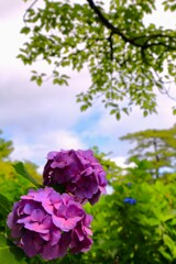 TEST_EF24mm-105  4L_6