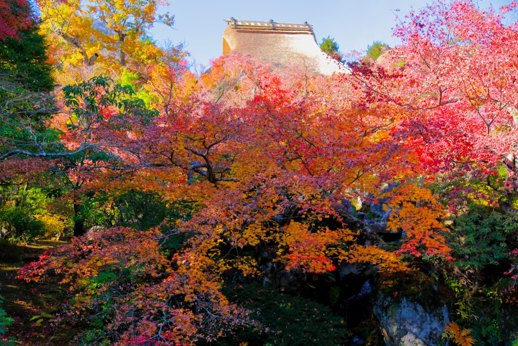 2025_箱根美術館6