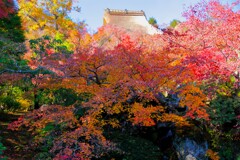 2025_箱根美術館6