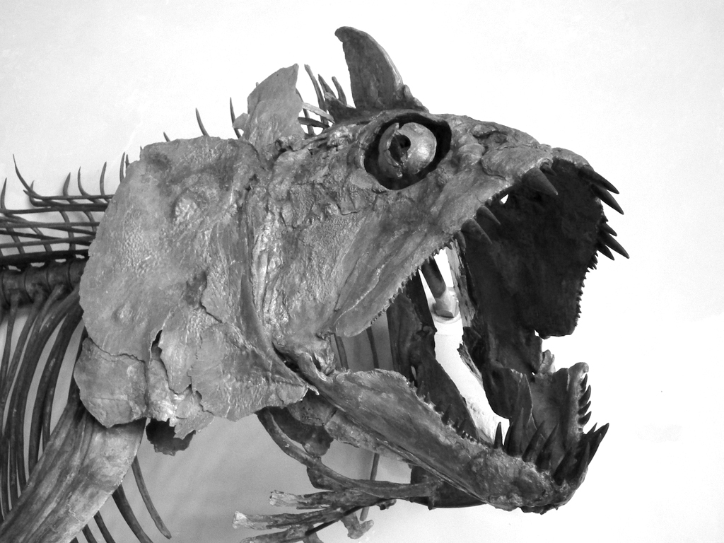 Astonishment face（え！俺かよ！）