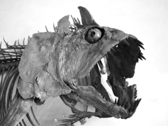 Astonishment face(え!俺かよ!)