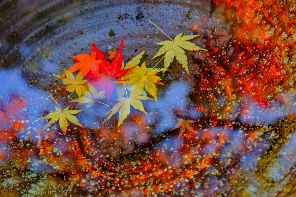 2025_湯河原美術館3