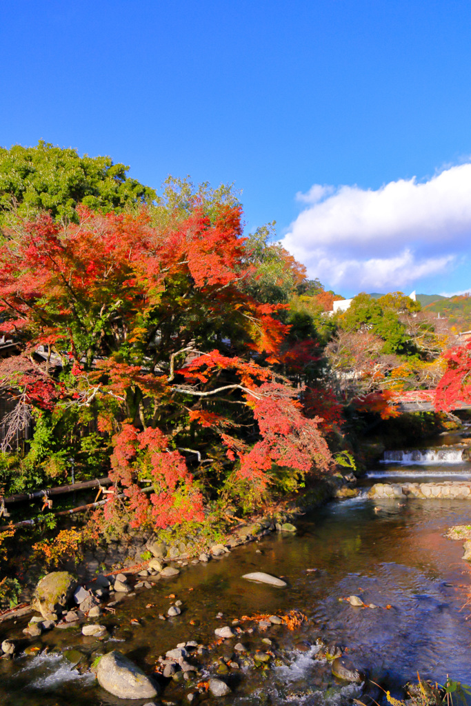 2025_湯河原万葉公園周辺4
