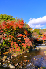 2025_湯河原万葉公園周辺4