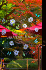 2025_湯河原美術館6