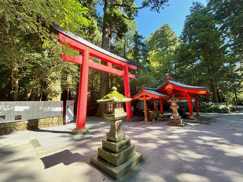 箱根神社な日
