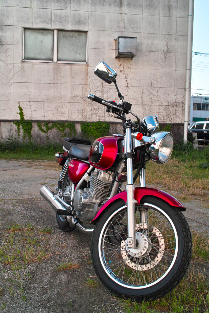 SIGMA DP2Xの虫干し