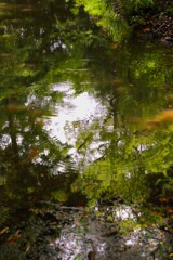 TEST_EF24mm-105  4L_4