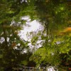 TEST_EF24mm-105  4L_4