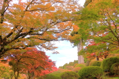 2024_hakone_Hotel de Yama