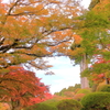2024_hakone_Hotel de Yama
