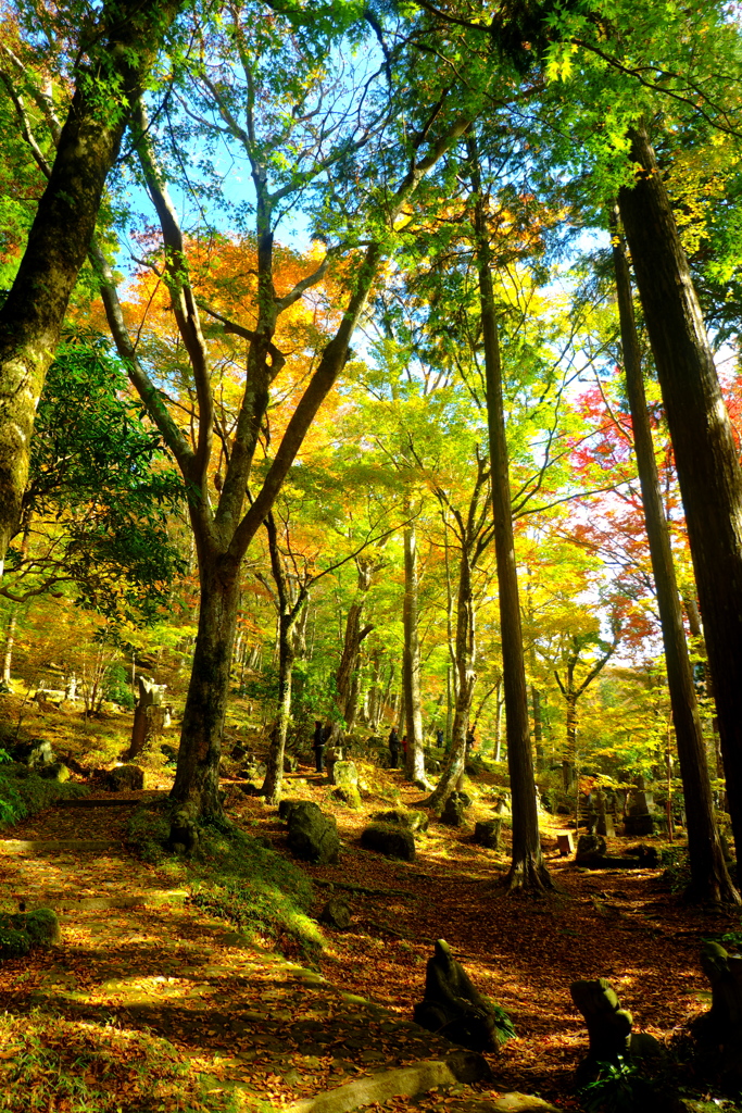 2018長安寺_秋