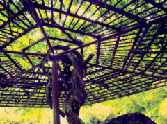 1-DSCN1246