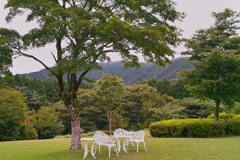 リゾート