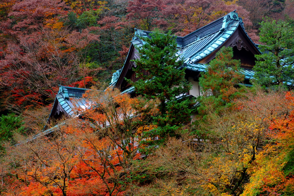 2018箱根紅葉_湯本辺り