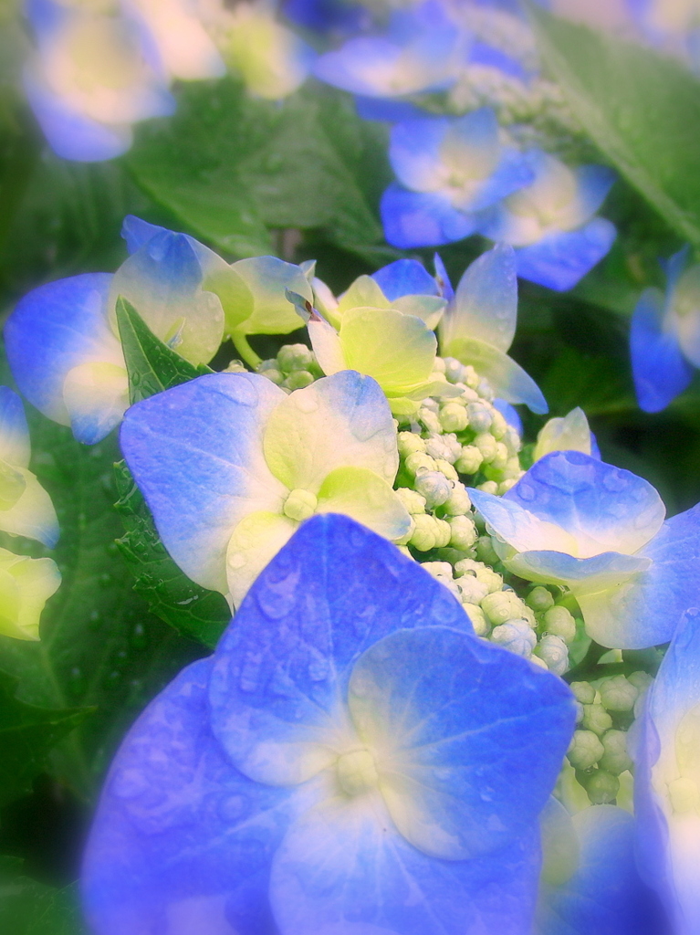 test_EX-FC100_6