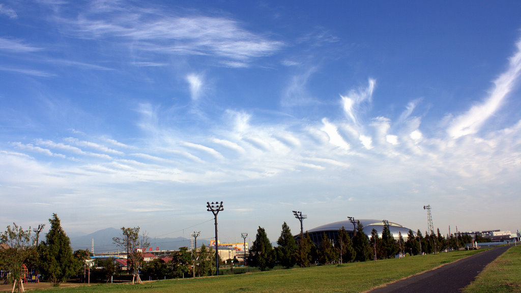 OROCHI(八岐之大蛇）