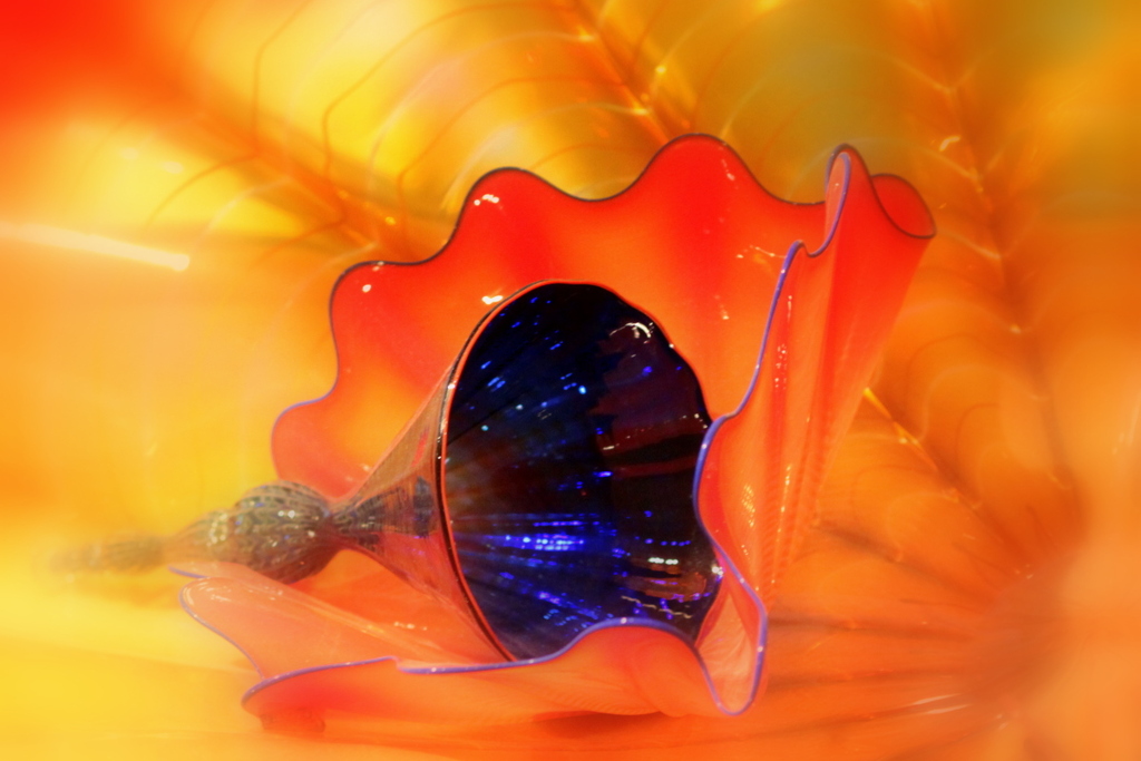 Réveiller de Vénus